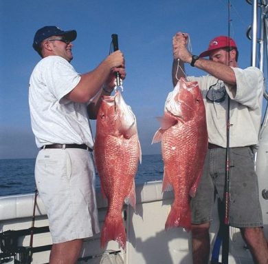 red-snapper