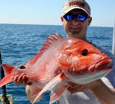 red-snapper-mount