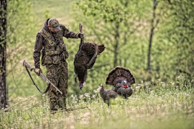 Near-Record Turkeys Fall in Virginia This Spring