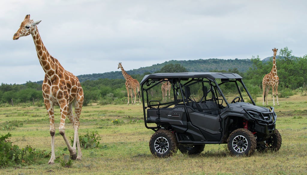 Honda Pioneer 1000-5 LE and Giraffe