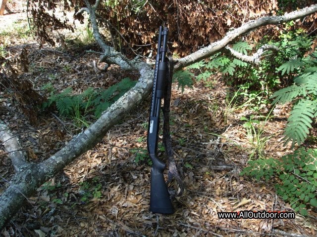 The Mossberg 590