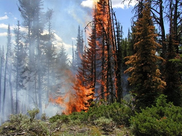 The Reality of a Yellowstone Eruption