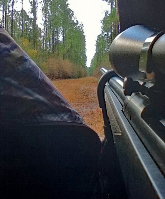  Sitting in a pop-up blind, with a heavy bull-barrel rifle nicely supported and ready to rock. A little while after I took this photo, I shot a nice whitetail doe with this setup.