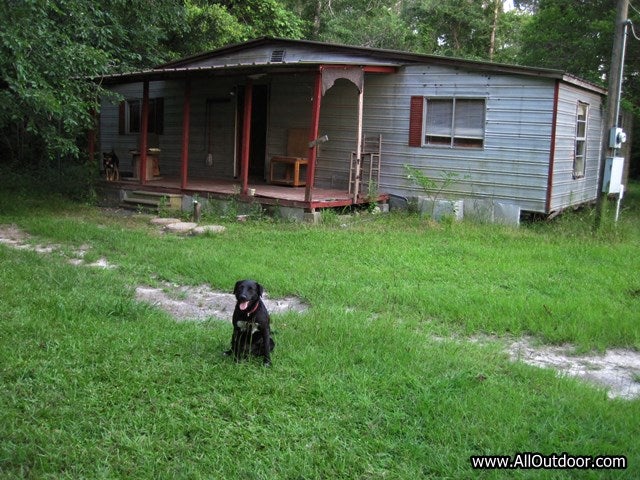 Doing A Spring Checkup At The Weekend Camp