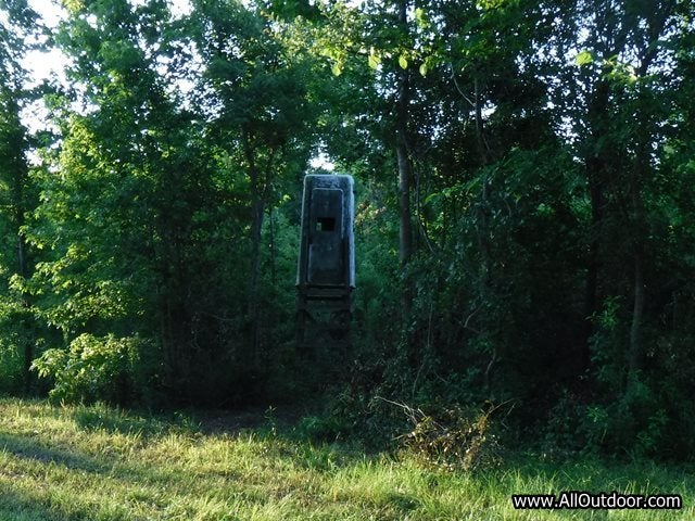 Check Deer Stands During Off Season