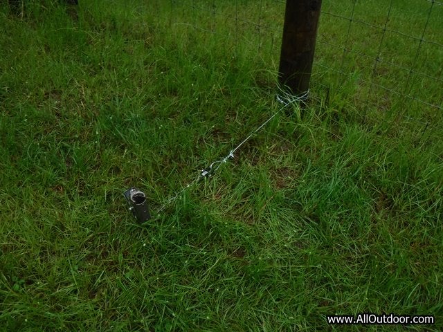 Dog proof trap in chicken yard