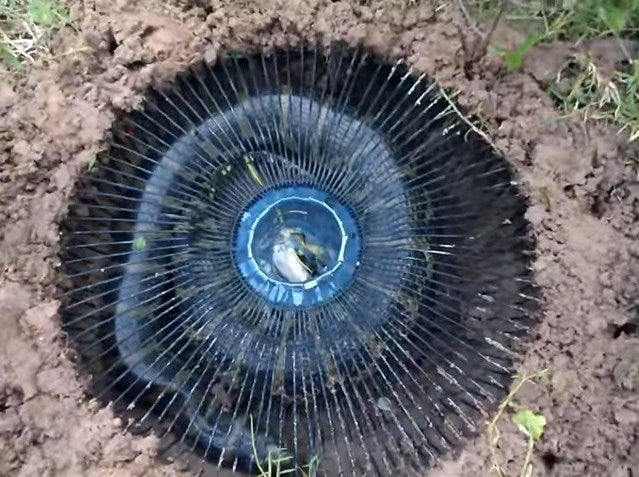 Watch: Electric Fan Guard Snake Trap