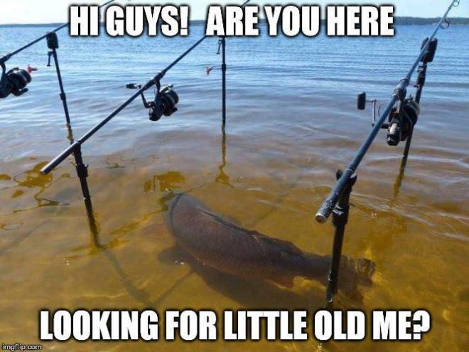 fishing-meme-08