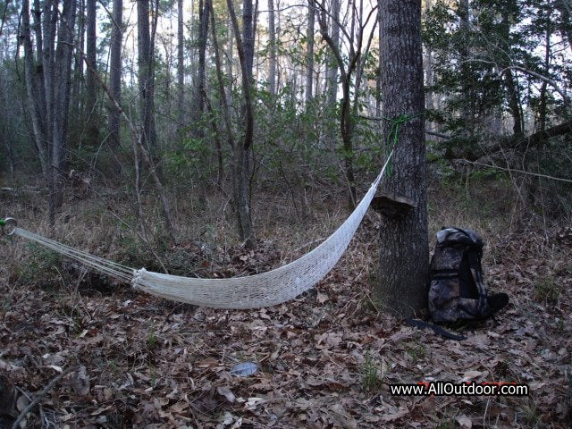 Five Reasons to go Hammock Camping