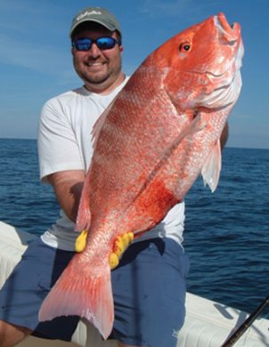 redsnapper