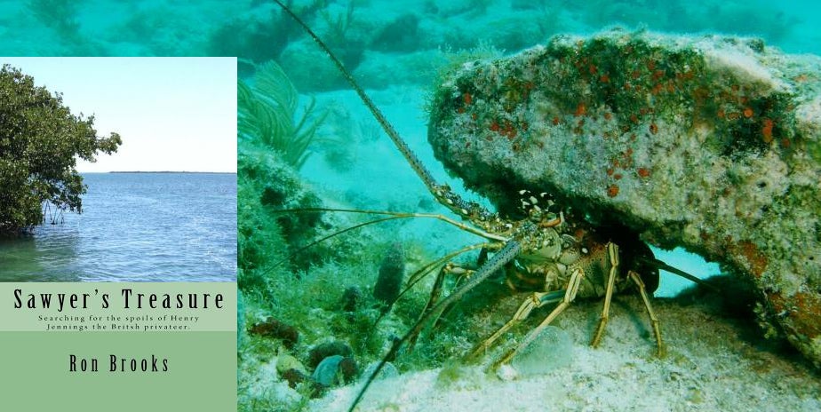 Review: Sawyer’s Treasure Book, by Ron Brooks Review: Sawyer’s Treasure Book, by Ron Brooks