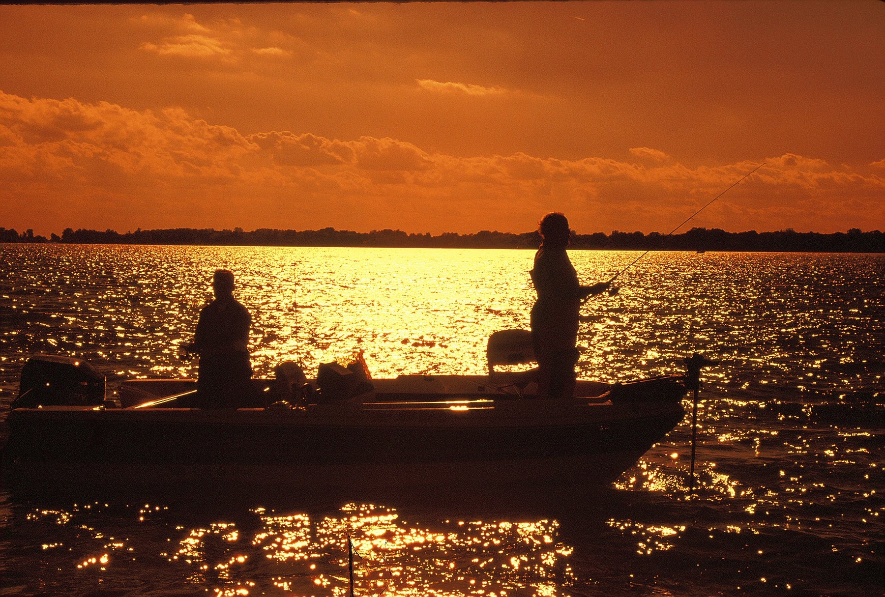 fish online tool