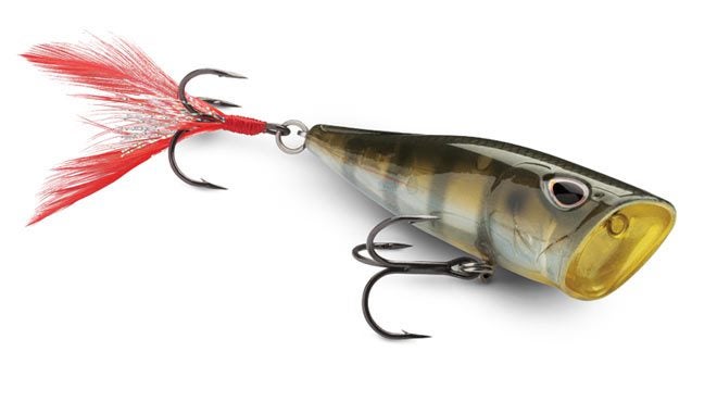 Storm Arashi Cover Pop Topwater Lure: ICAST 2017