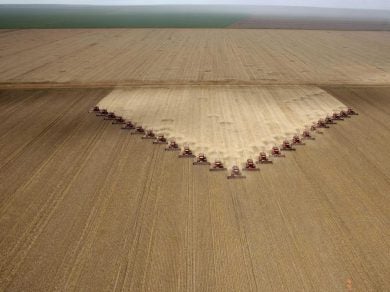 industrial-soybean-harvest