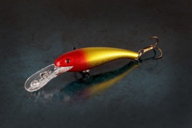 3 Great Crankbaits For Summer Walleyes 