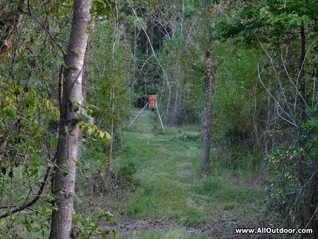 Get in the Stand Before Hunting Season