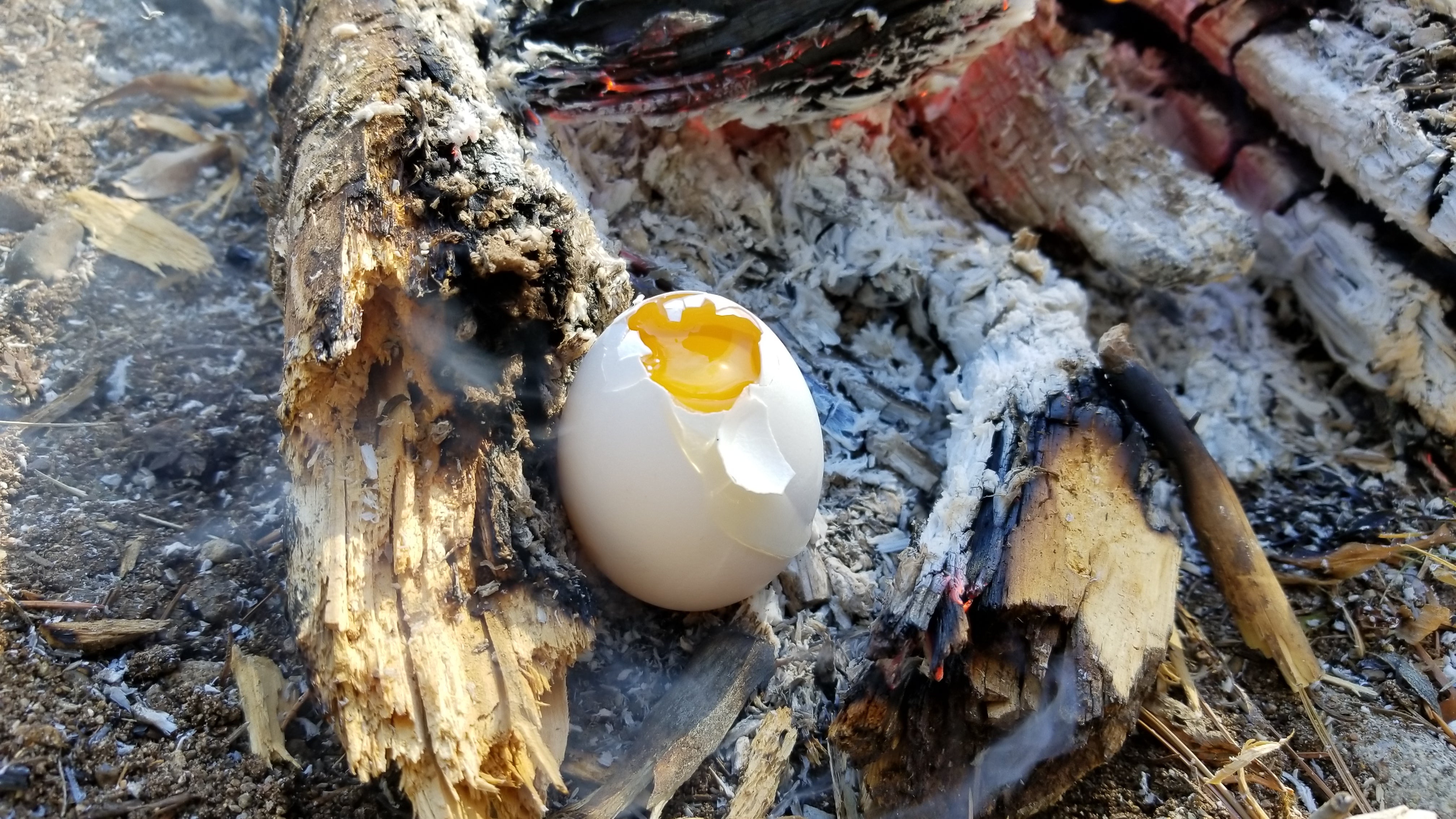 Outdoor Eats: Cooking on Coals