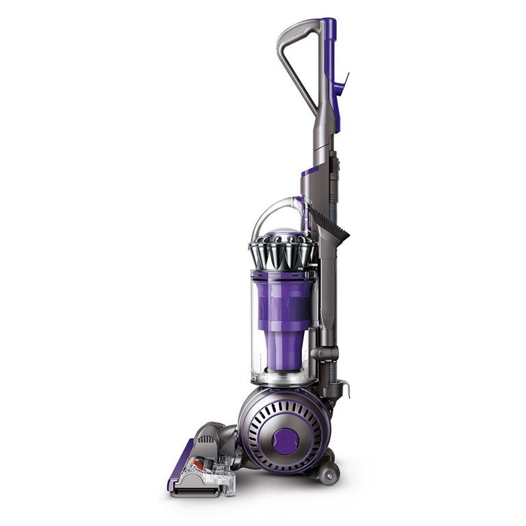 Dyson Ball Animal 2 upright vacuum