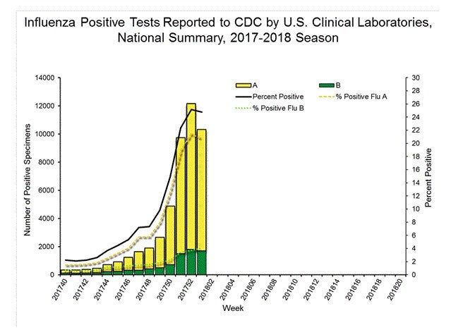 Flu Epidemic Crippling Hospitals