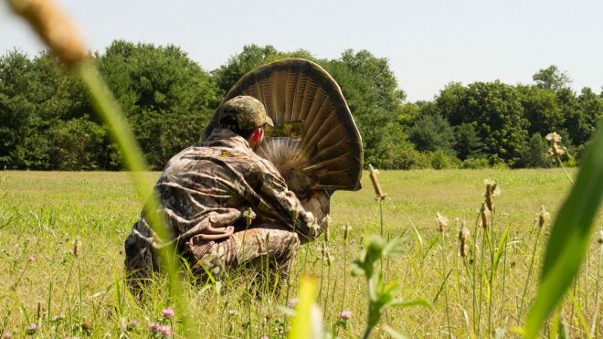 Montana Decoy has a PURR-FECT Turkey