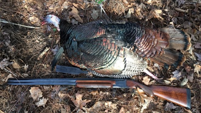 8 Signs You’re a Diehard Turkey Hunter