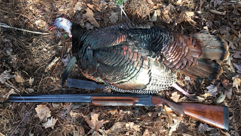 Uncle Jimmy’s Gobbler Uncle Jimmy’s Gobbler