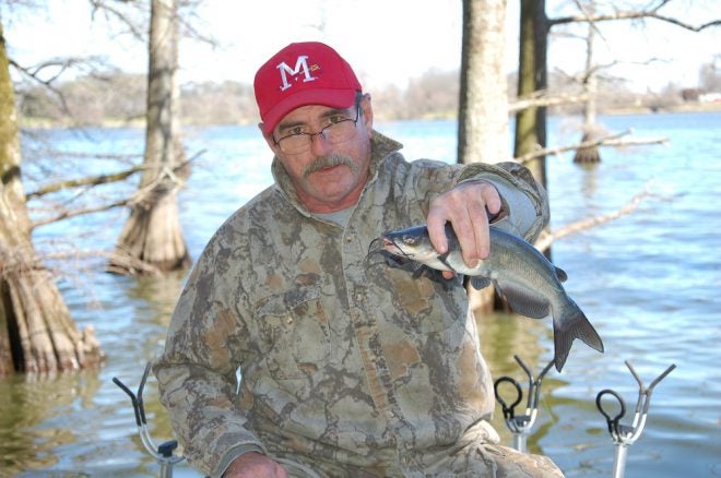 Crappie Fishing for Catfish