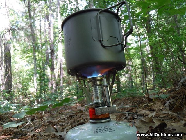 Cooking with the Etekcity Stove