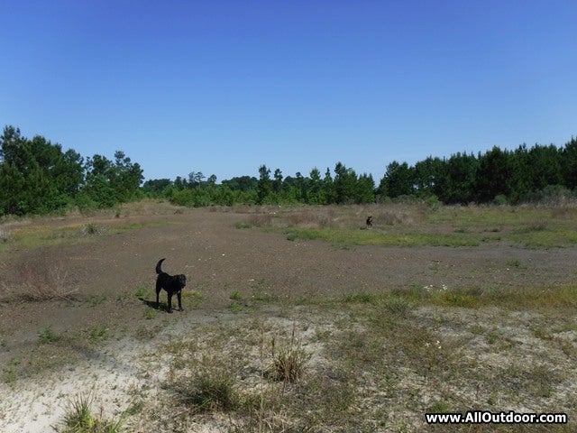 Abandoned gas well area