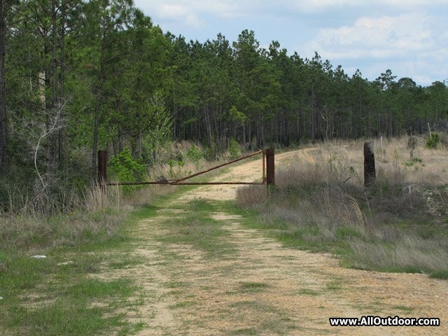Gate on rural road