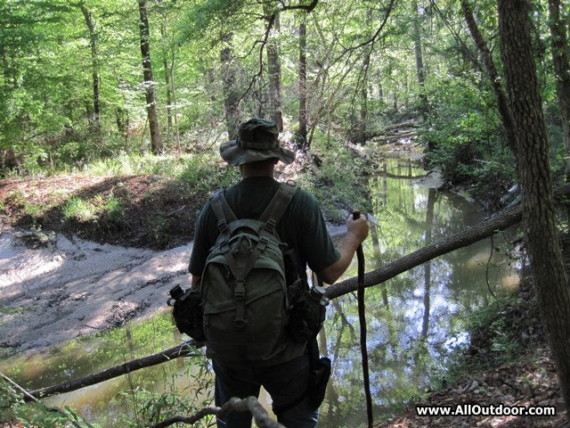 Hiking along a creek