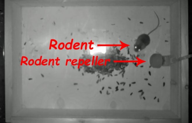 Watch: Ultrasonic Rodent Repeller Test