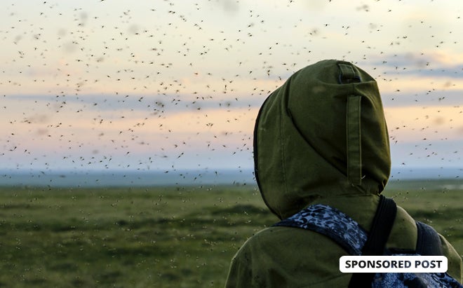 Keep the Bugs Away With These Four Items Keep the Bugs Away With These Four Items