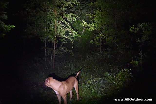 Sofirn SF14 230 lumens using a single AA battery