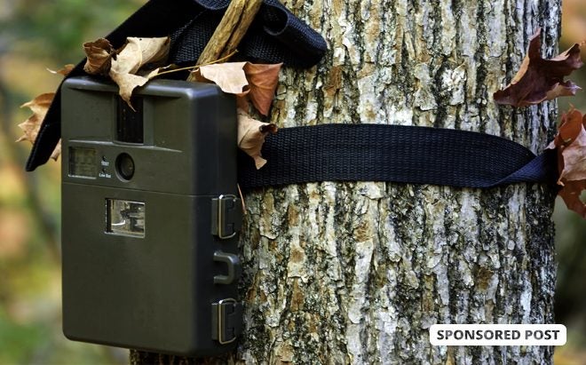 The Best Hunting and Trail Cameras on Amazon