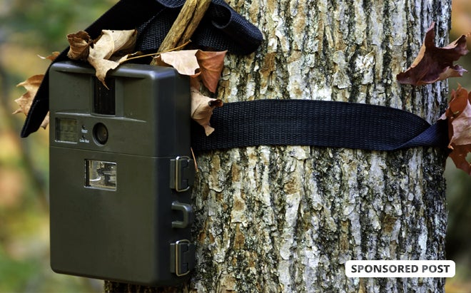 The Best Hunting and Trail Cameras on Amazon The Best Hunting and Trail Cameras on Amazon