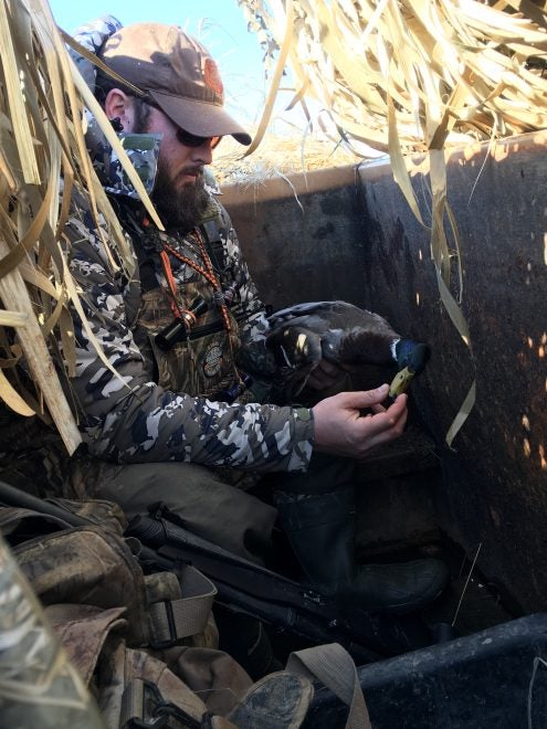 Missouri Mallards