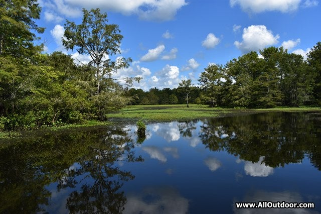 Crappie fishing habitat