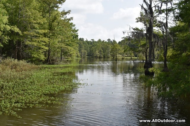 Fish habitat