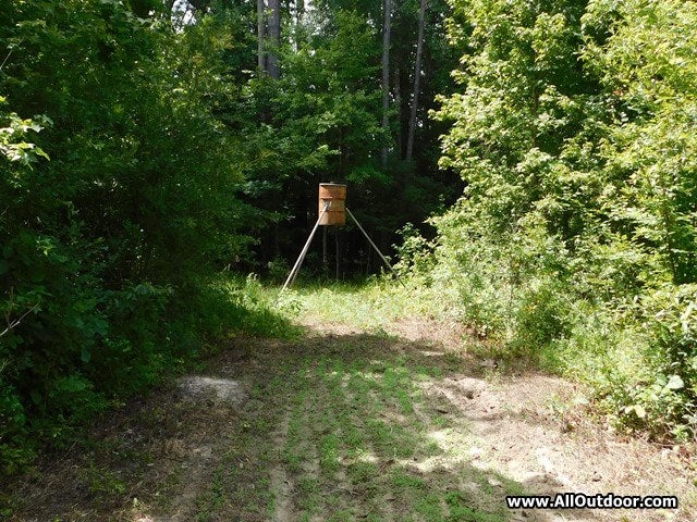 How to Make a Homemade Deer Feeder