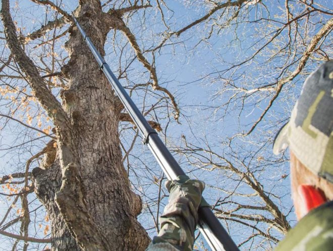 Vital Deer Hunting Tools: Tree and Brush Cutters