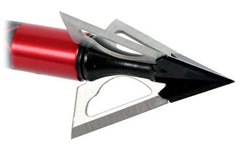 10 Best Broadheads for Bow Hunting