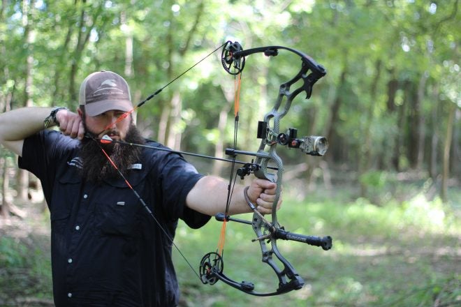 APA Archery Mamba 32 TF Review