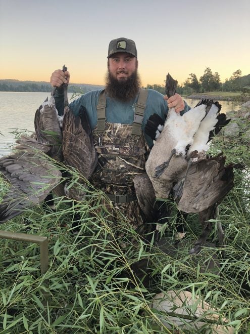 Public Land Goose Hunting