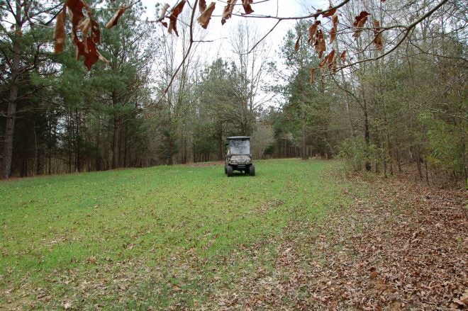 What Exactly is Learned from Trail Cameras?