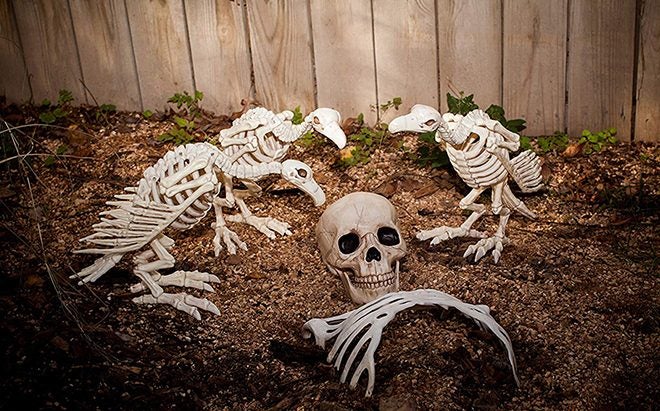 Last Minute Halloween Decor You Didn’t Know You Needed