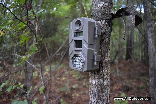 Are Cheap Trail Cameras Worth The Money?