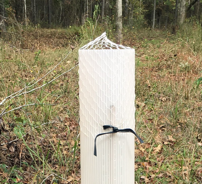 "Bird exclusion mesh" stays on the tube until the tree grows out the top.