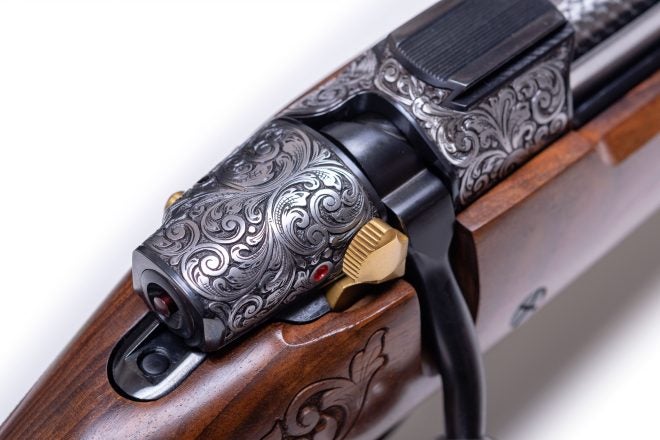 CZ 550 Hunter “Ursus arctos” .300WM Engraved