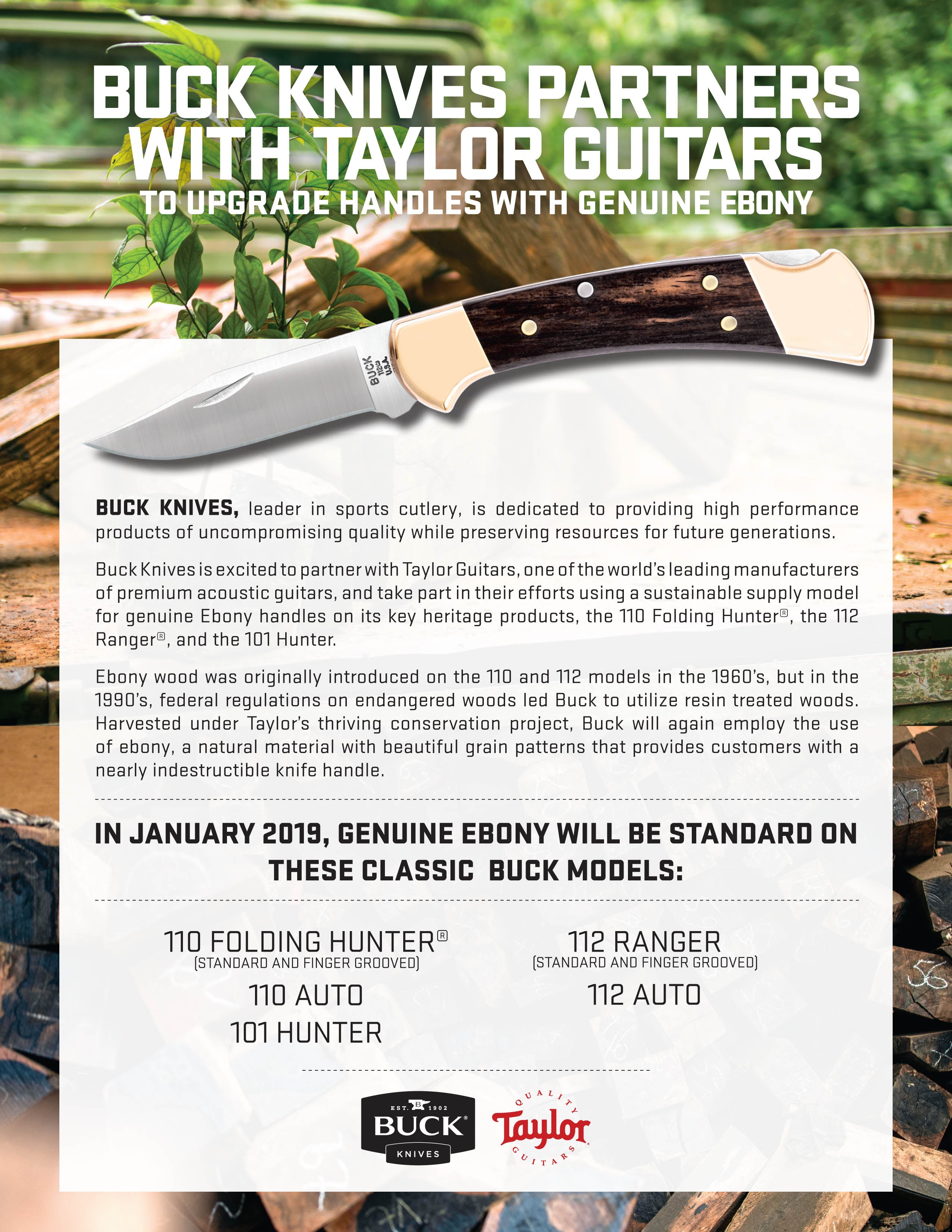 taylor guitars